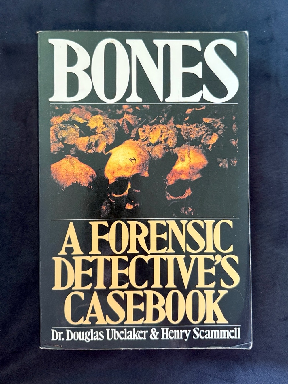 A forensic Detective’s Casebook
